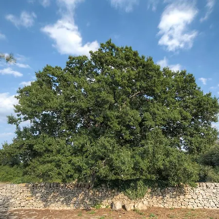 Trulli Capo Di Lupo By Rentbeat Villa Cisternino Exterior photo